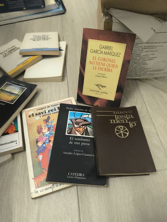 Llibres en valencià -mirar imágenes-