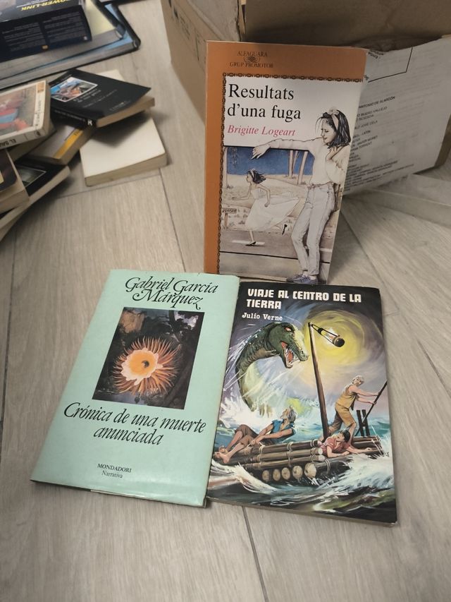 Llibres en valencià -mirar imágenes-