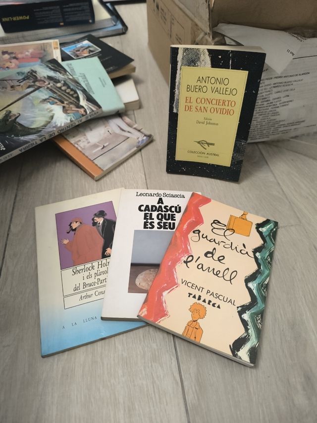 Llibres en valencià -mirar imágenes-