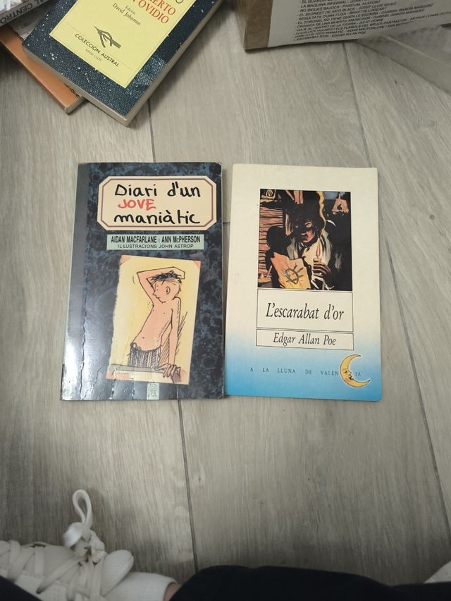 Llibres en valencià -mirar imágenes-