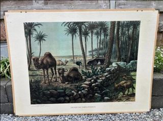 Mural escolar vintage desierto 60s