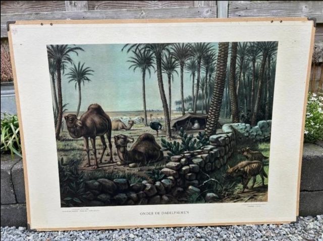 Mural escolar vintage desierto 60s