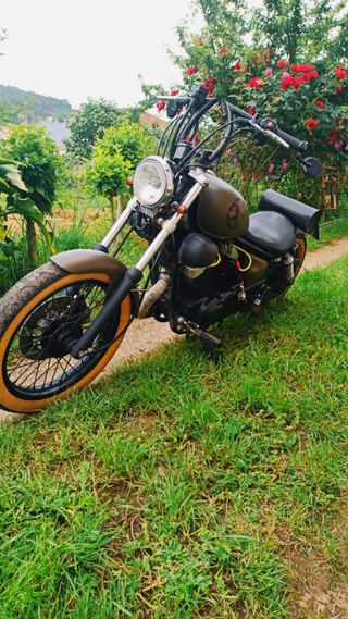 Yamaha virago 250 bobber