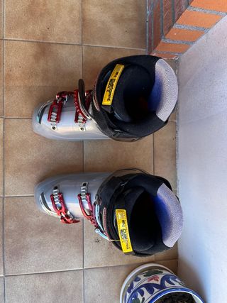 Botas de esquí