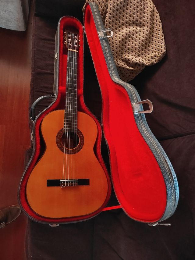 Vendo o Cambio Guitarra Antonio López Iznaola