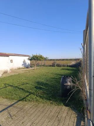 Jardinería, poda y desbroces en zona de Sevilla.