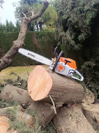 Jardinería, poda y desbroces en zona de Sevilla.