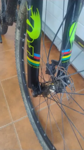 Bici Montaña Carbono 29