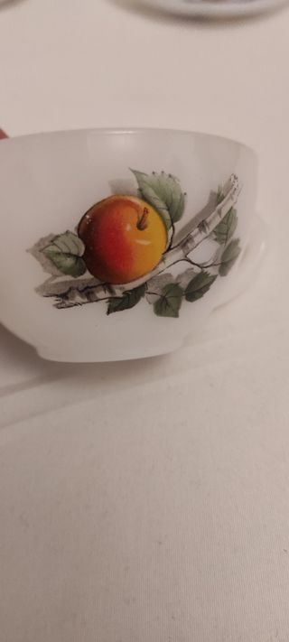 Juego de café vintage arcopal