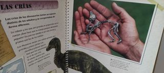 El gran libro de los dinosaurios