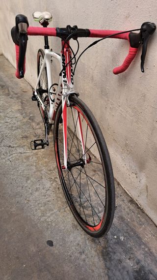 Giant TCR Composite Talla M
