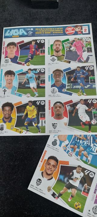 Laminas  suplemento album 24 25