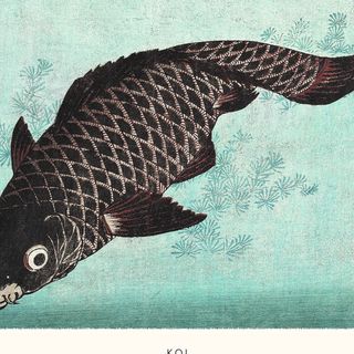 POSTER CARPA JAPONESA KOI VINTAGE