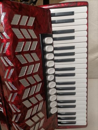 Acordeón estrella 120 bajos