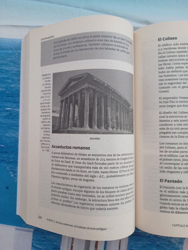 (PRECIO FIJO)Historia del arte para Dummies