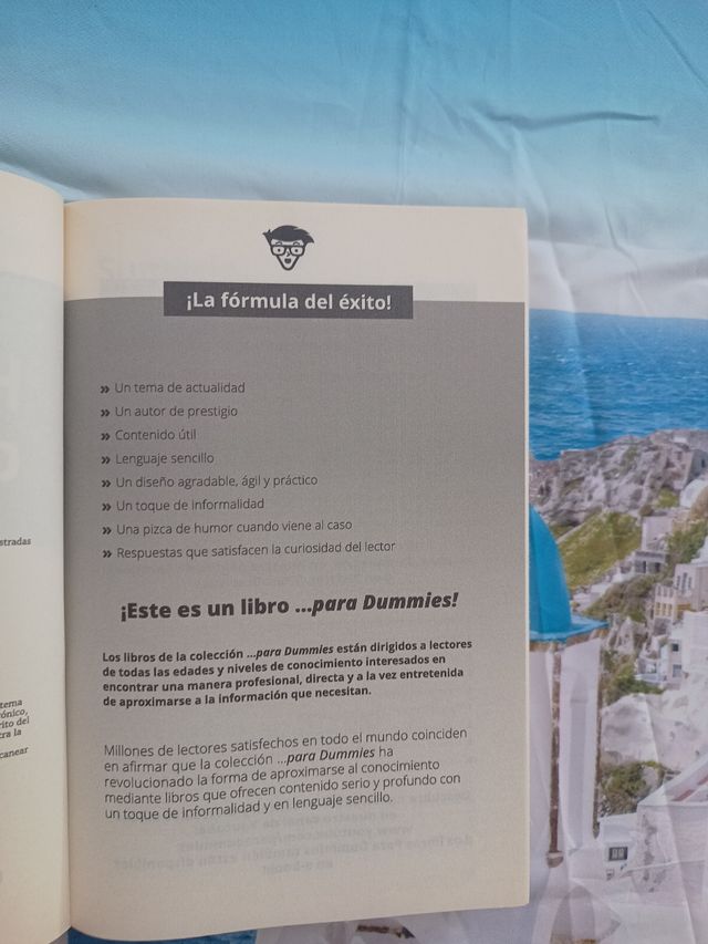 (PRECIO FIJO)Historia del arte para Dummies