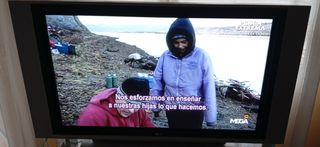 TELEVISIÓN PLASMA LG 42