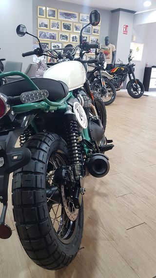 ROYAL ENFIELD BEAR 650