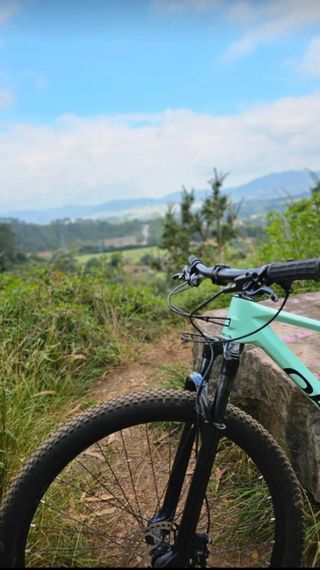 MTB Orbea Alma m50 carbono 29