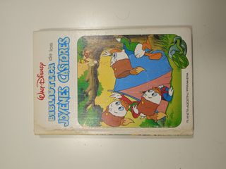 Lote libros Walt Disney
