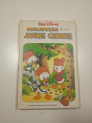 Lote libros Walt Disney