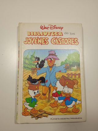 Lote libros Walt Disney