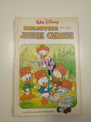 Lote libros Walt Disney