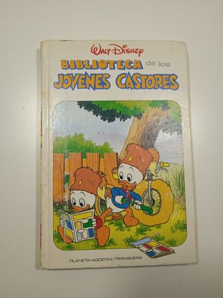 Lote libros Walt Disney