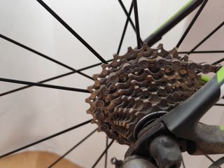 Bicicleta de carretera regalo rodillo