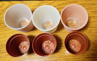 3 mini macetas para cactus o similares