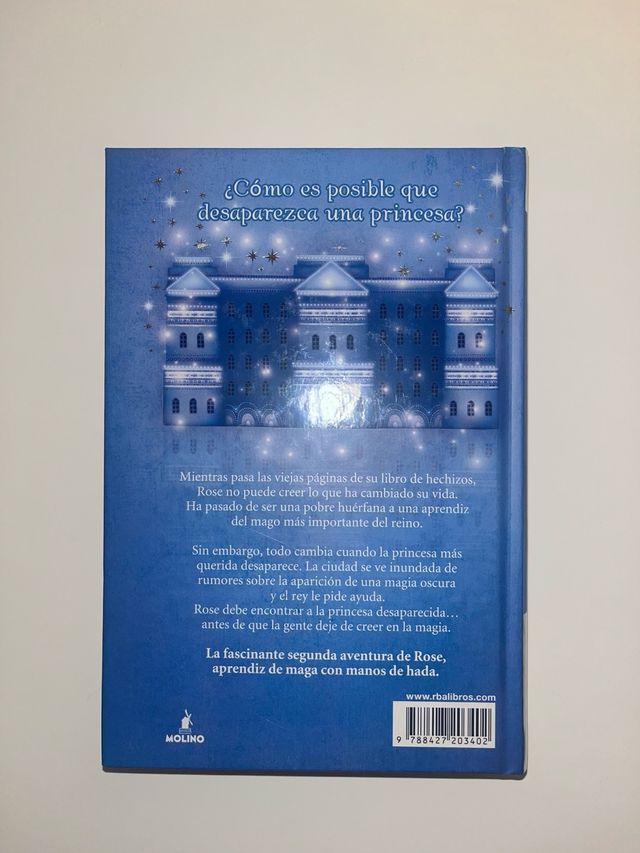 Rose y la princesa desaparecida (Rose 2)