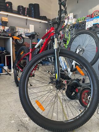 Bici electrica Montaña Motorad