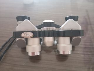 Prismáticos 