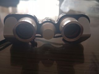 Prismáticos 