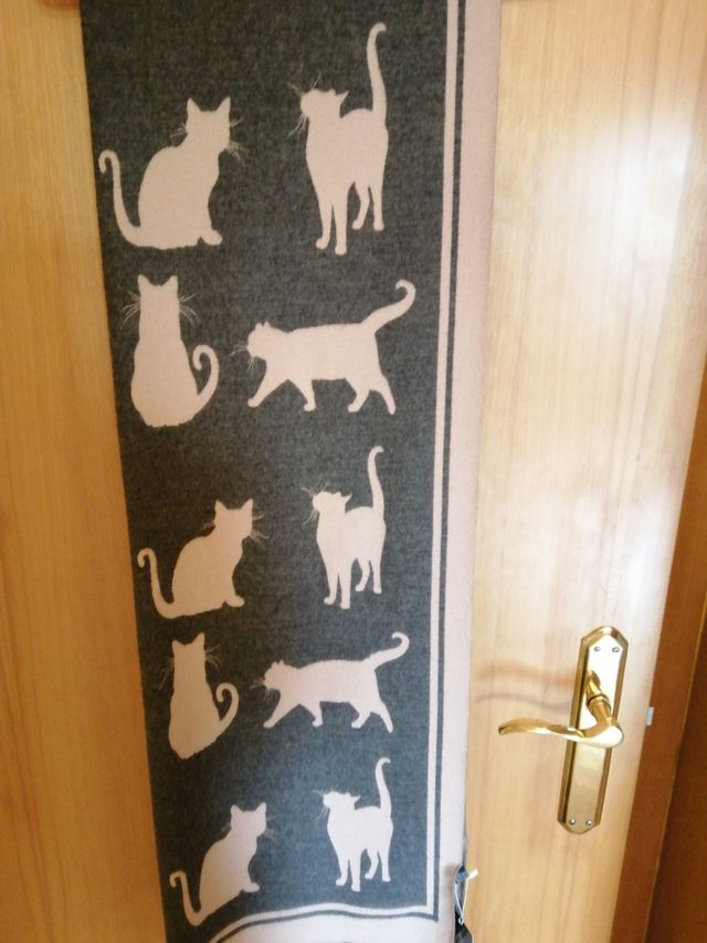 Bufanda estampada gatos