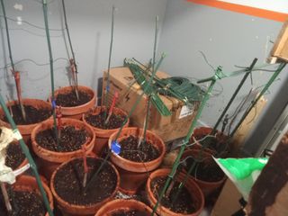 Generador gasolina3000wh