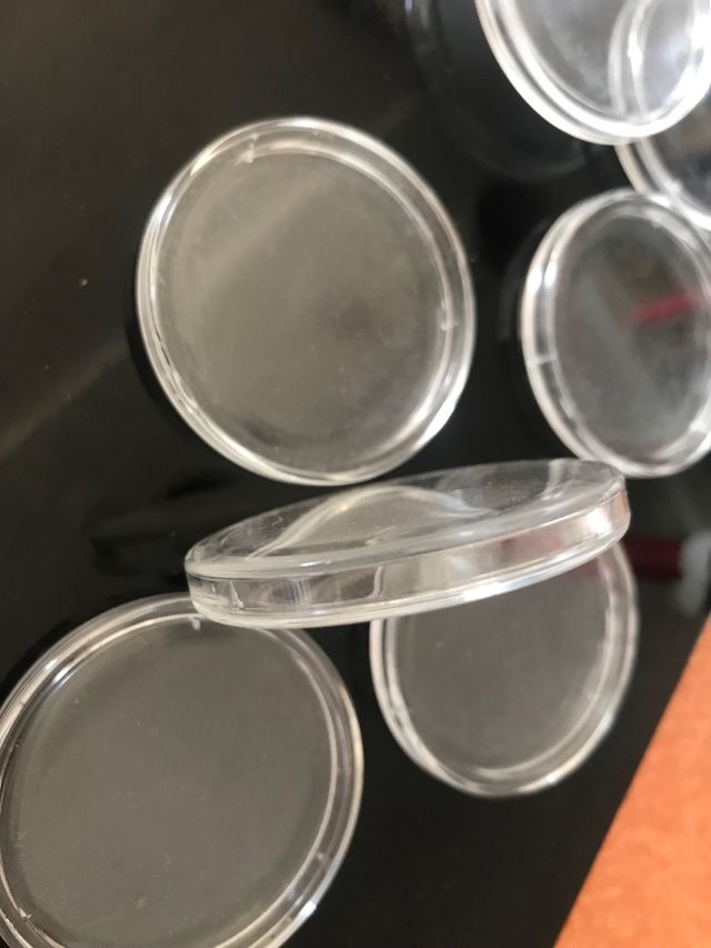 Custodias monedas collection