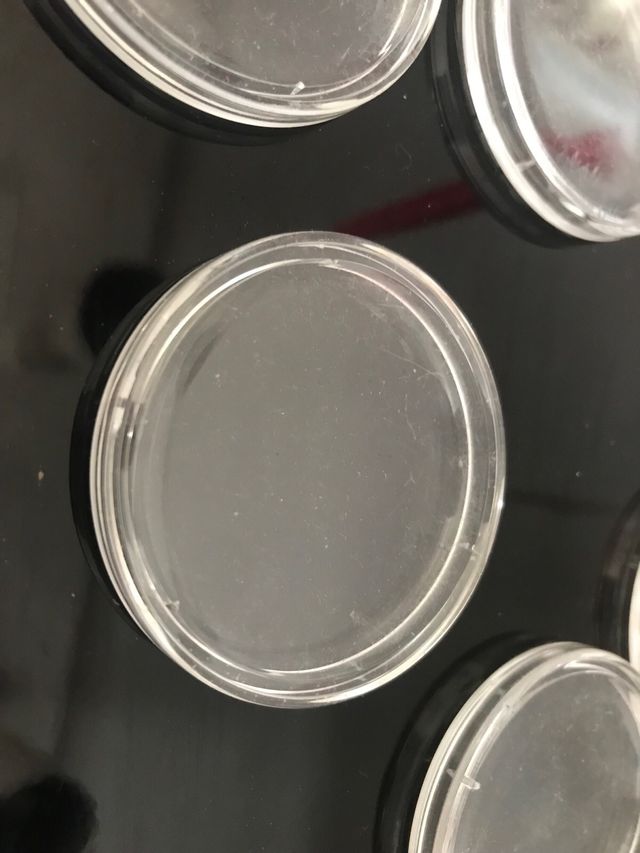 Custodias monedas collection