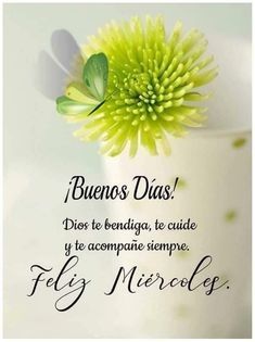 Traje impermeable unisex 