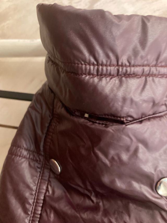 Abrigo impermeable perro