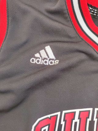 Rose Chicago nba