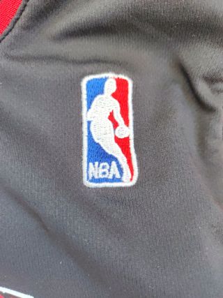 Rose Chicago nba