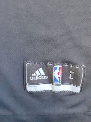 Rose Chicago nba