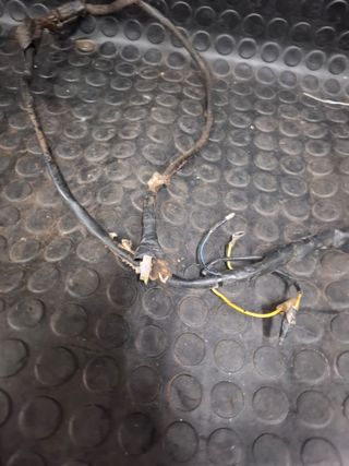 Encendido stator bobina gas gas txt 280