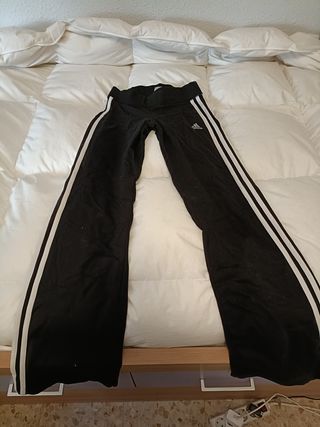 Chándal 2 cortos y 1 largo