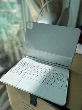 Magic trackpad Ipad