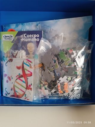 Juego El cuerpo humano