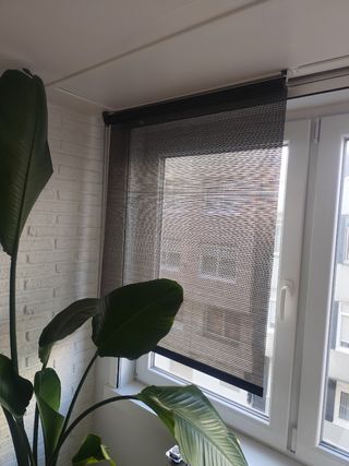 Estor gris oscuro 90 cm