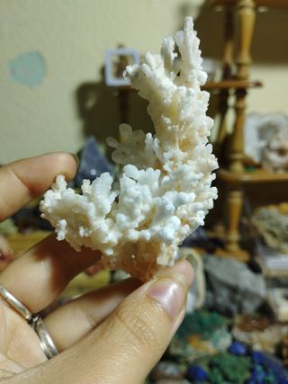 Aragonito coraloide 1