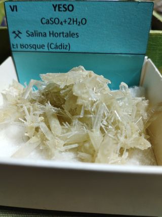 Yeso cristalizado